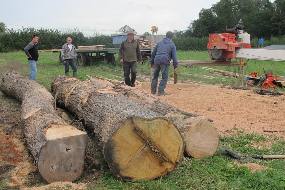 Building eco wedding reception the Gillyflower, cutting and planing timber from the estate at elmore court