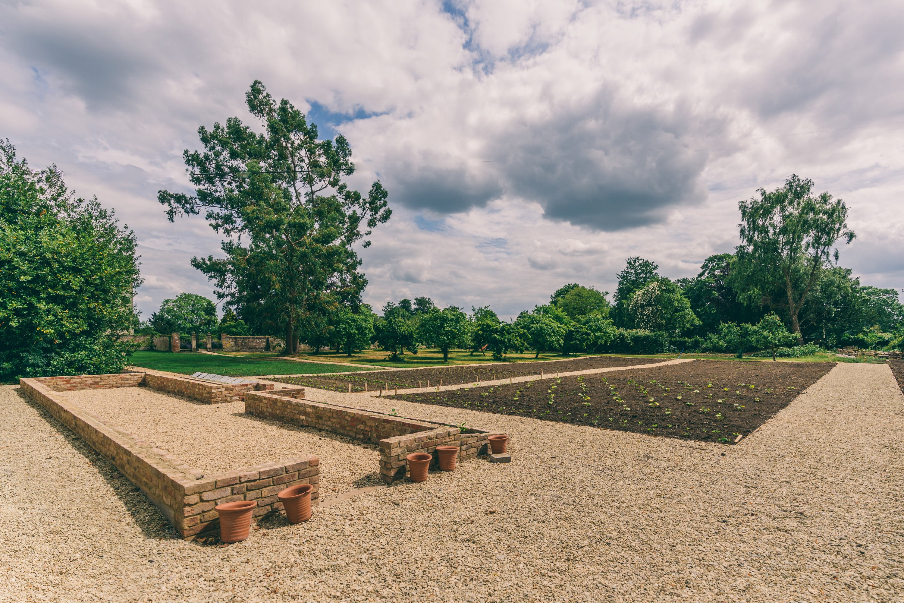 organic food is now growing at elmore court