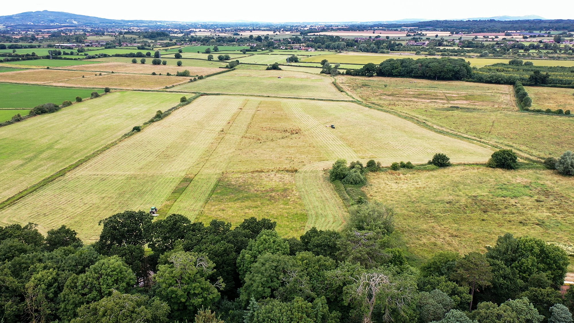 A field being mowed in preparation of creating a new wetland habitat for birds and wildlife