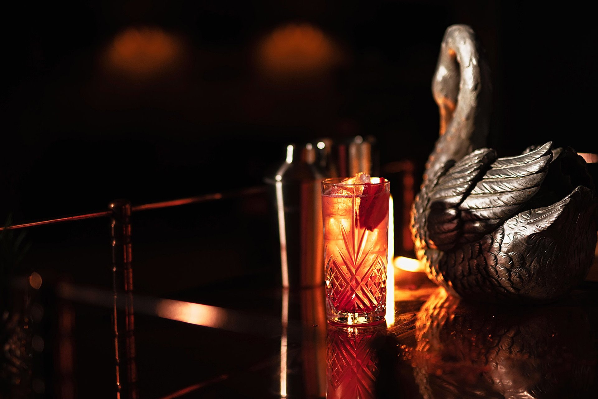 Cocktails served next to a swan at elmore court for a secret pop up cabaret dinner experience