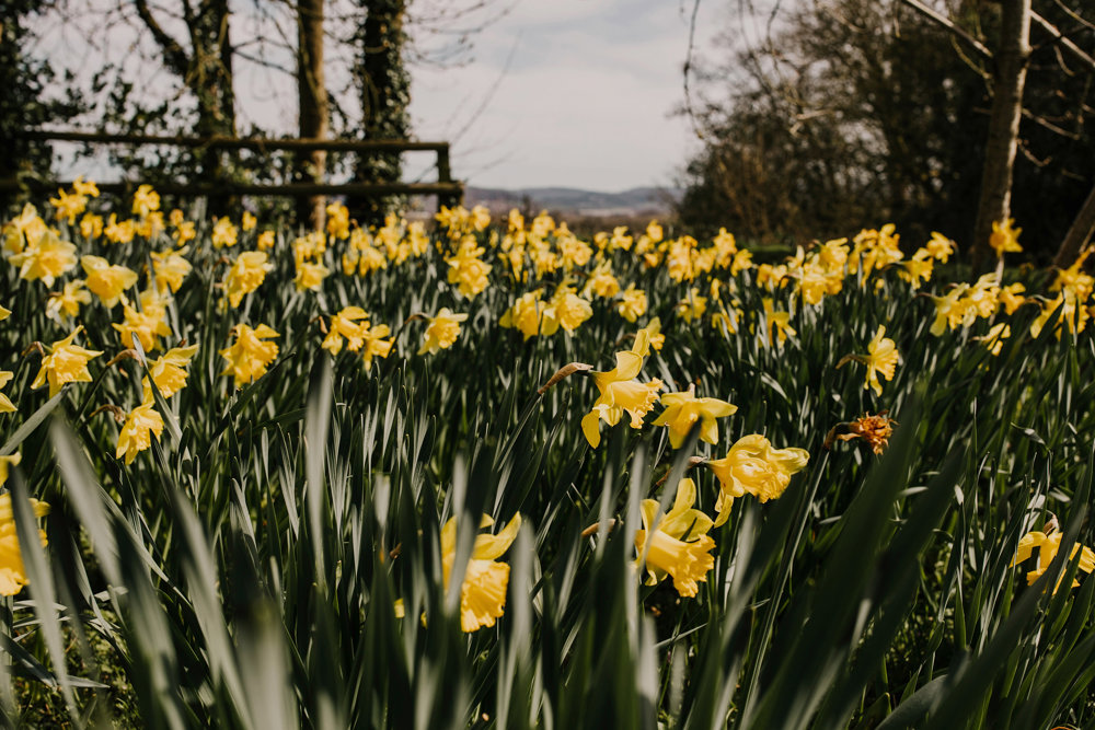 A Pandemic Wedding - The last before lockdown