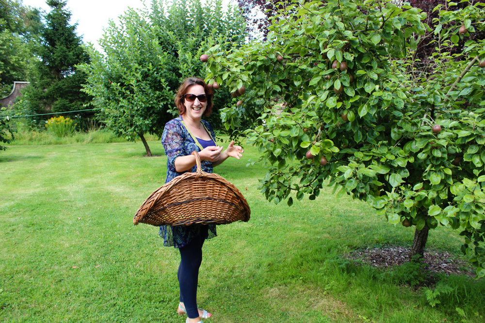 9 Years of weddings at Elmore Court