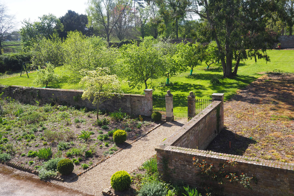 Corona update from Anselm