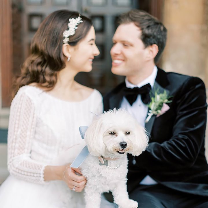 Newly wed could sitting on the steps of a lovely stately home with their furry dog friend on their laps