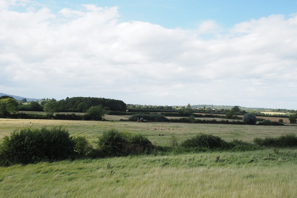 Fields in Gloucestershire which are being rewilded as part of a sustainable wedding venue plan