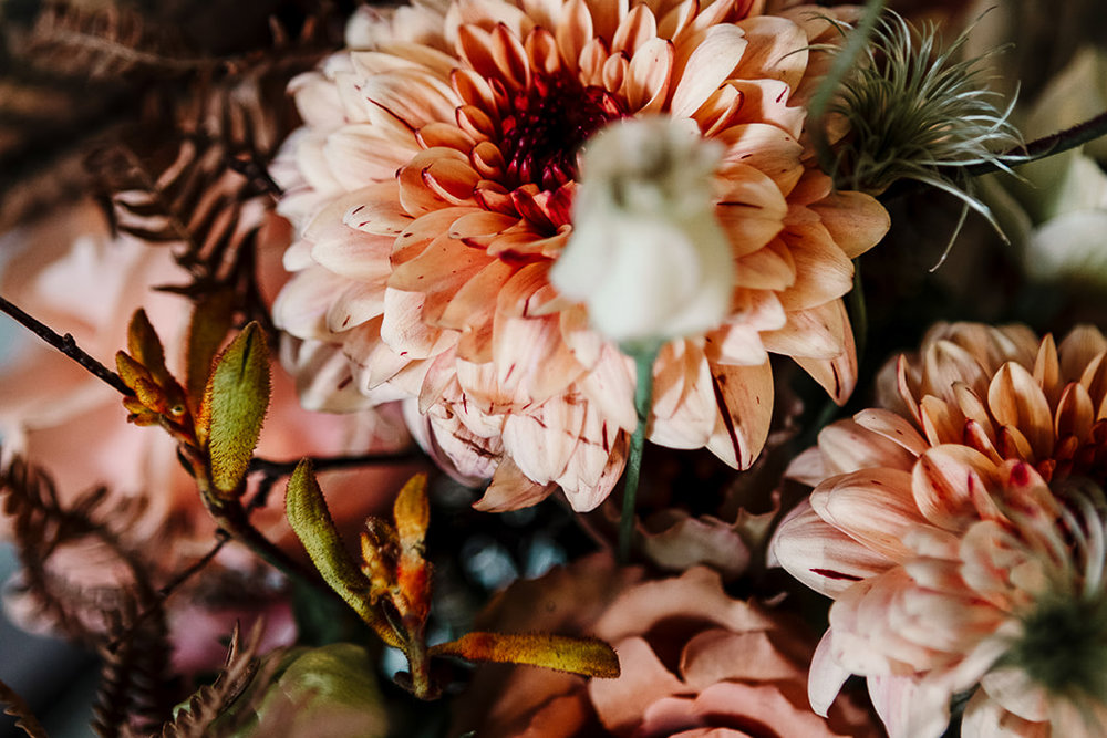 Amy Faith Photography