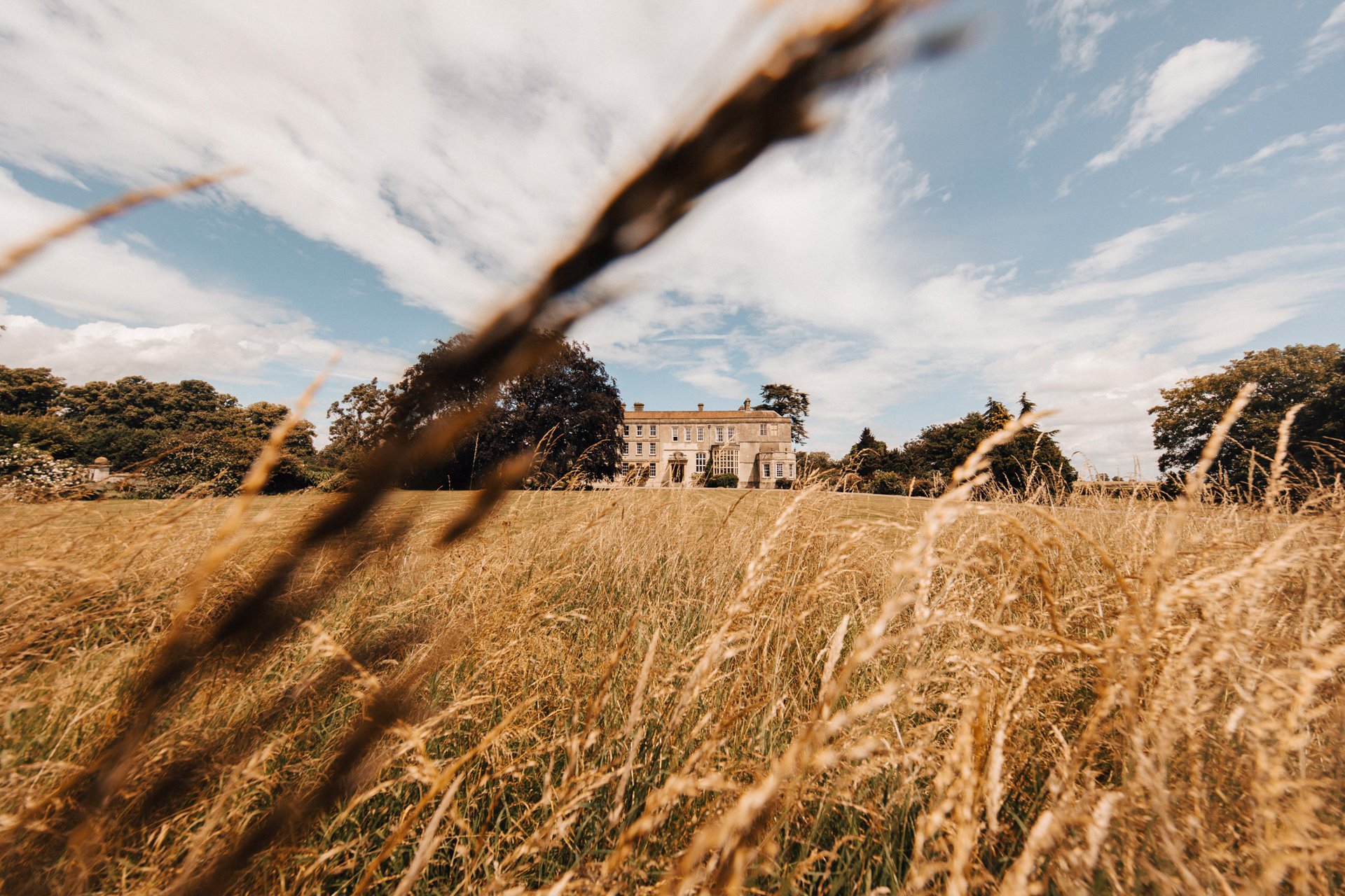 Long grasses of the Cotswolds country estate wedding venue where Zest will be placed at Elmore Court in January 2022