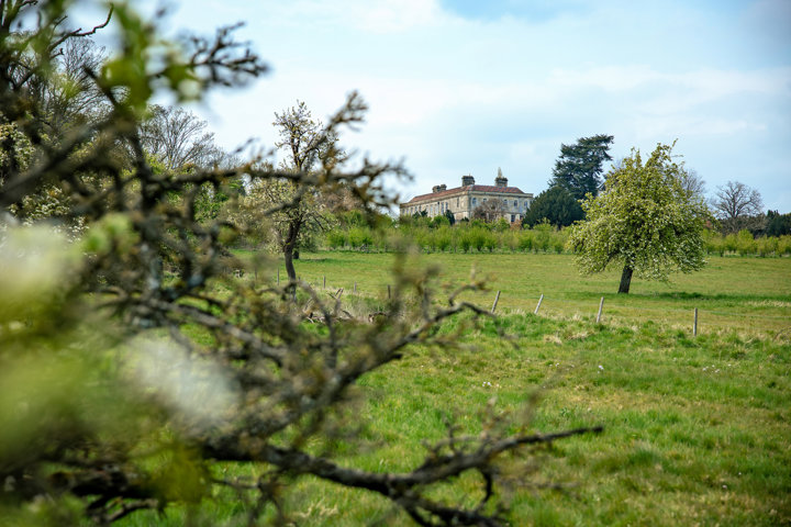 Sustainable wedding venue elmore court seen from between branches of the rewilding area