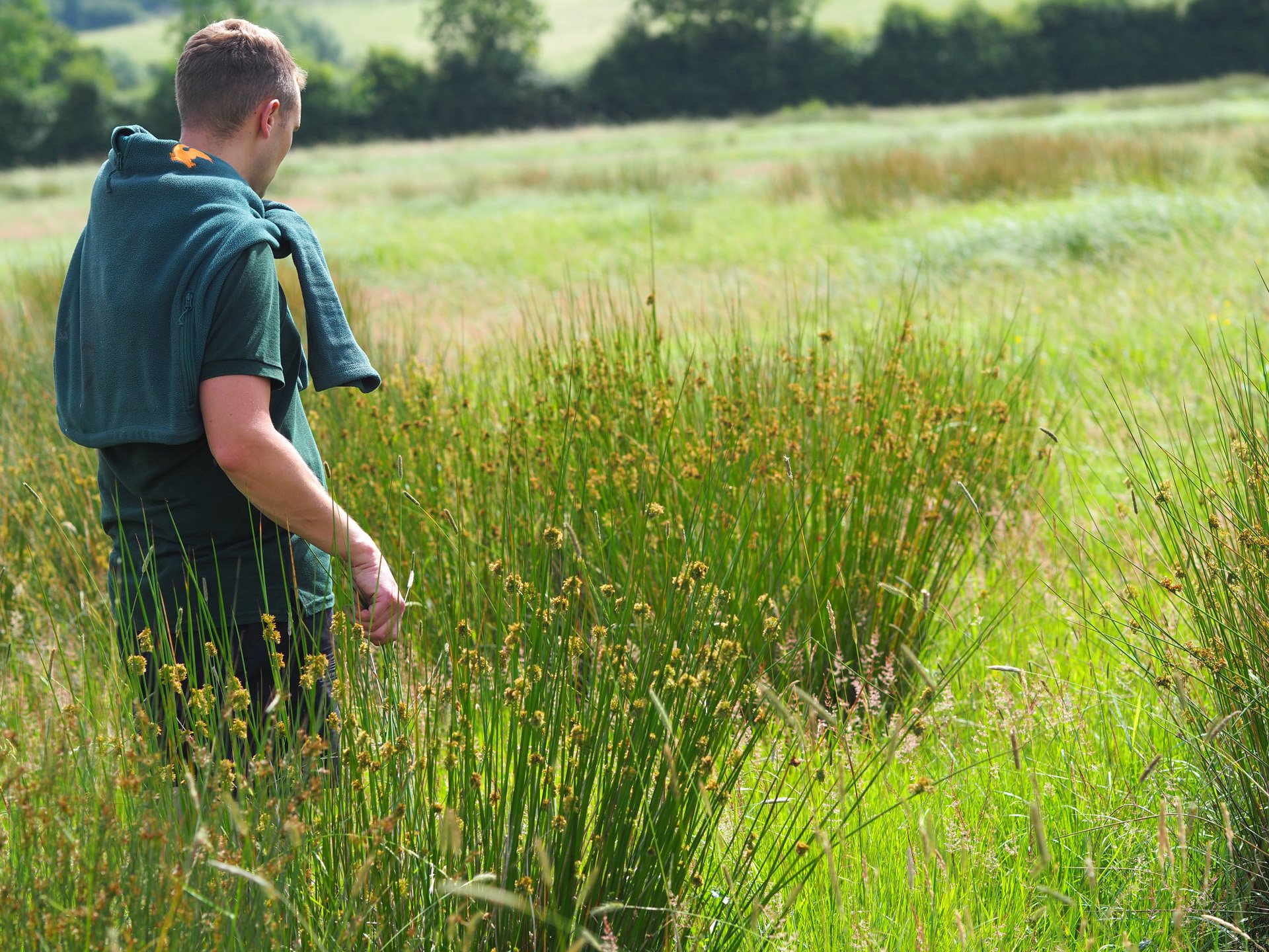 Luke surveys the rewilding area which will house the treehouses at our wedding venue