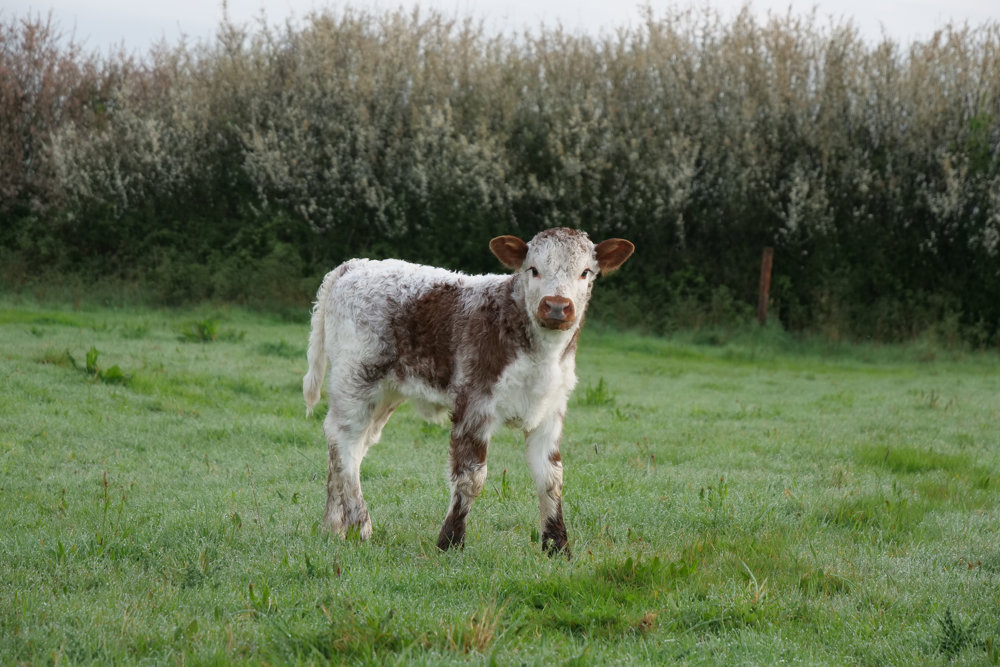 Sustainable Options For Your Big Day