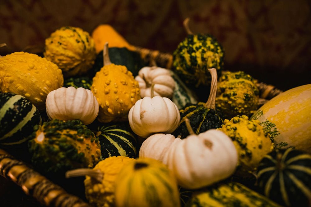 pumpkins to decorate autumnal micro wedding