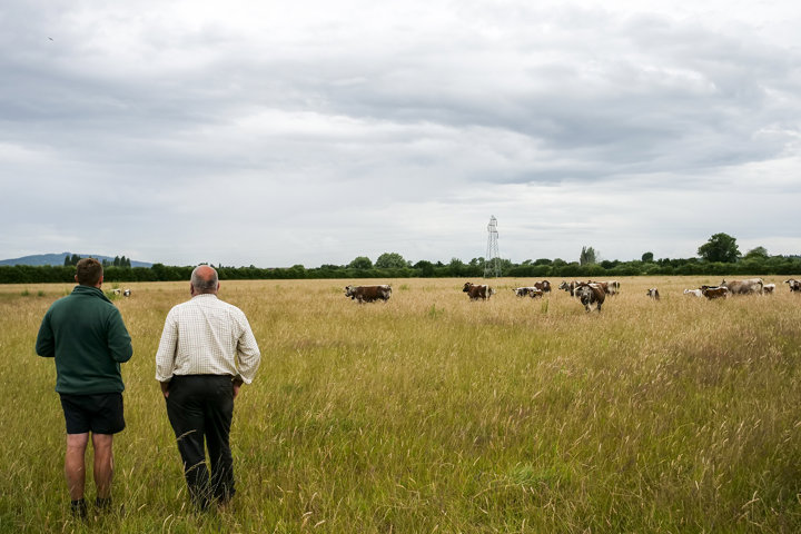 An update from the Wild Side