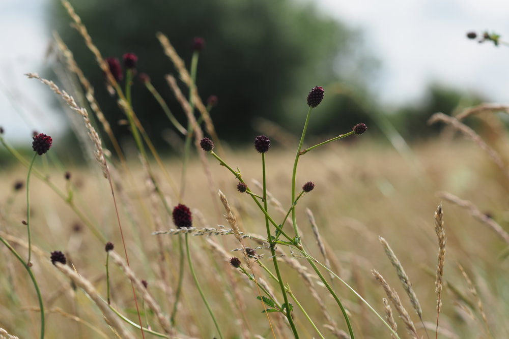 Winter Yoga Retreats are back!