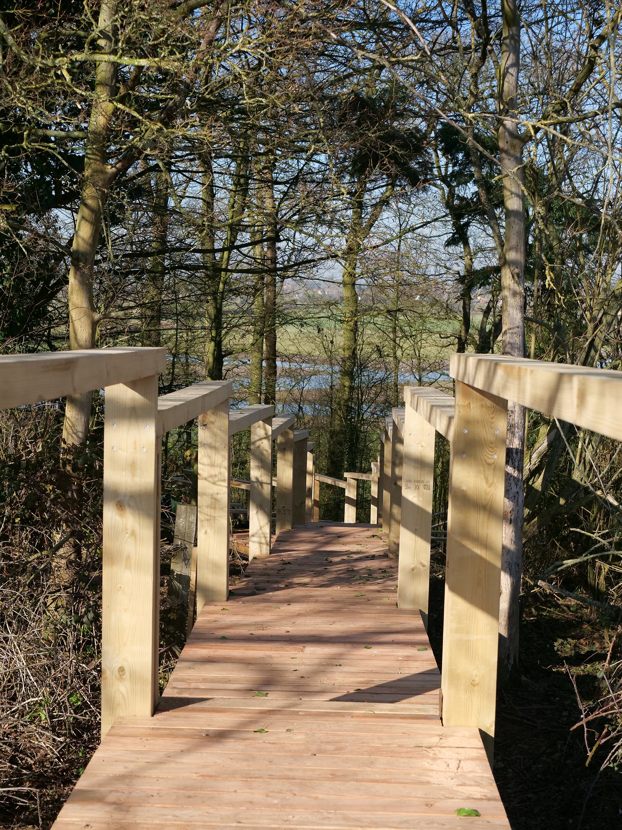 Board walk going through a sunny woodlands down to a newly build treehouse at Elmore Court