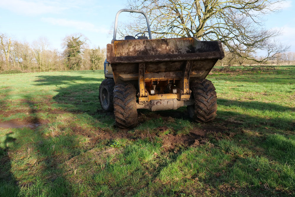 Our treehouse cabins are taking root