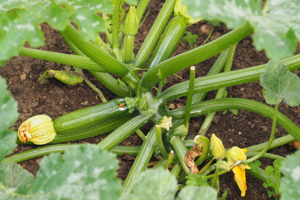 Winter Yoga Retreats are back!