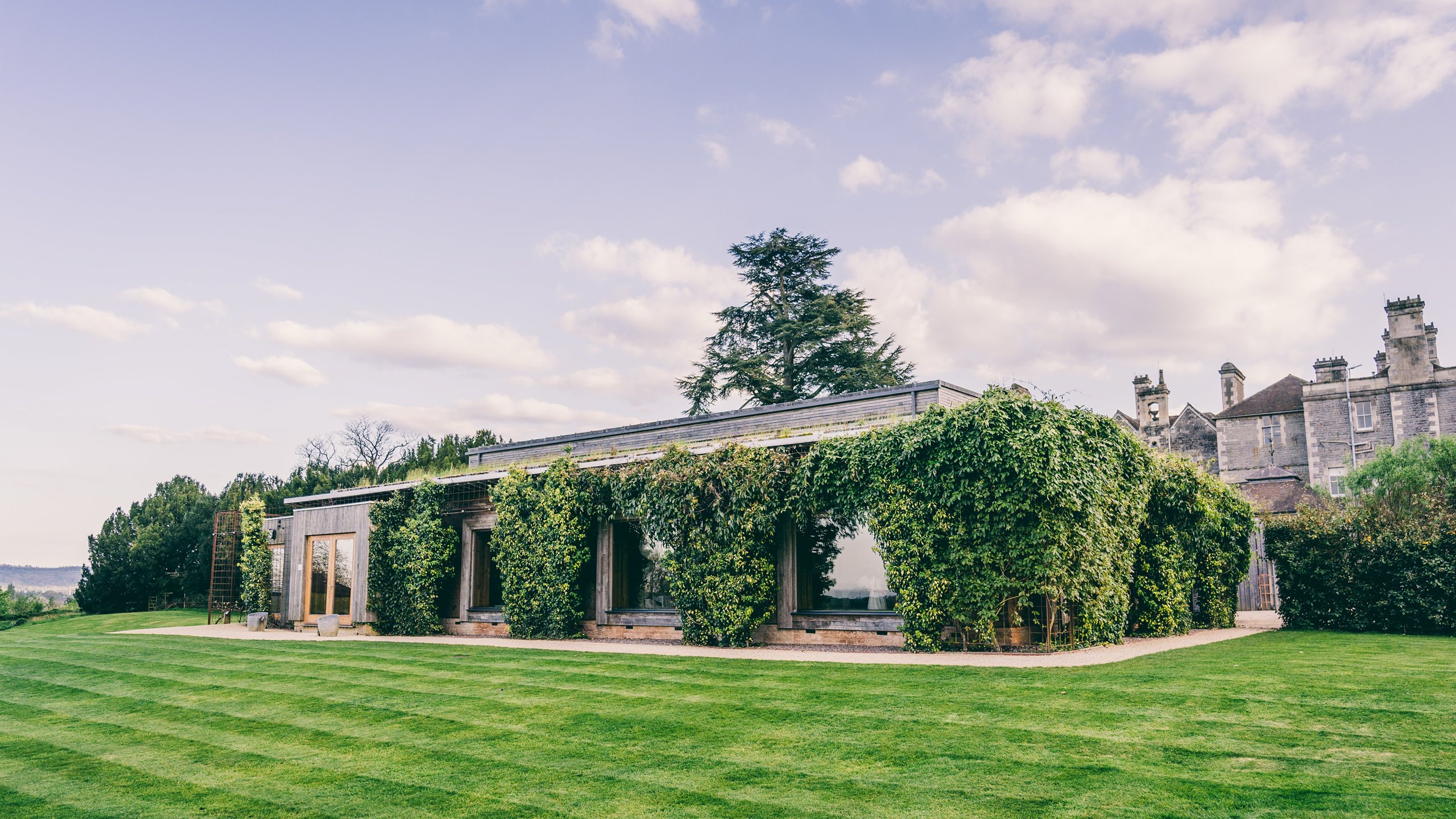 Elmore Court - Gillyflower