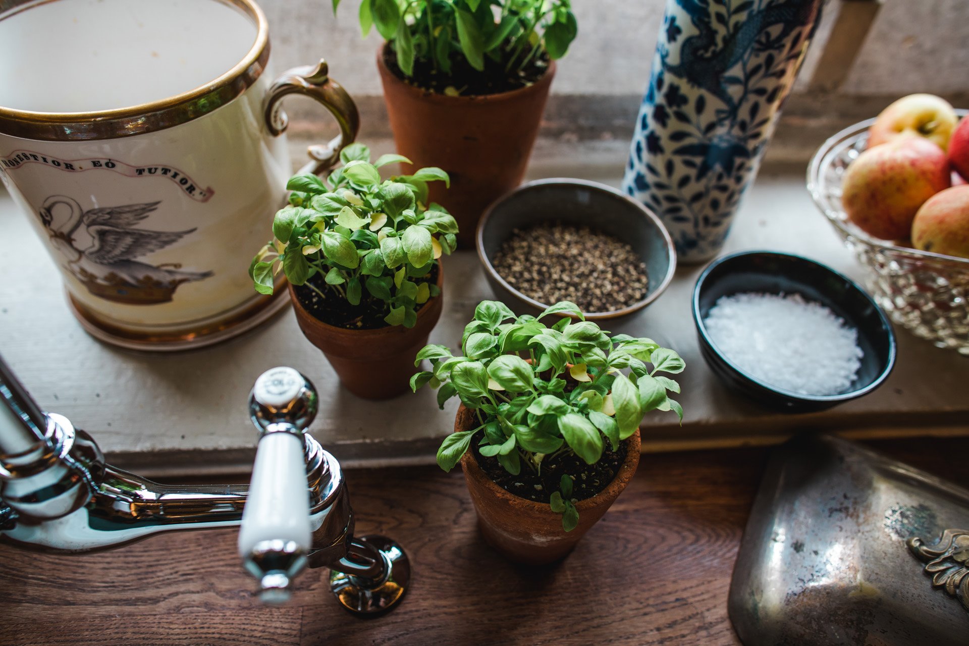 Herbs and spices growing on the window sill in the wedding tasting room at elmore court