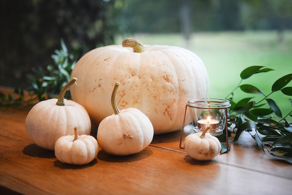 White pumpkins home grown by the halloween obsessed bride for her autumn wedding with magical hocus pocus theme
