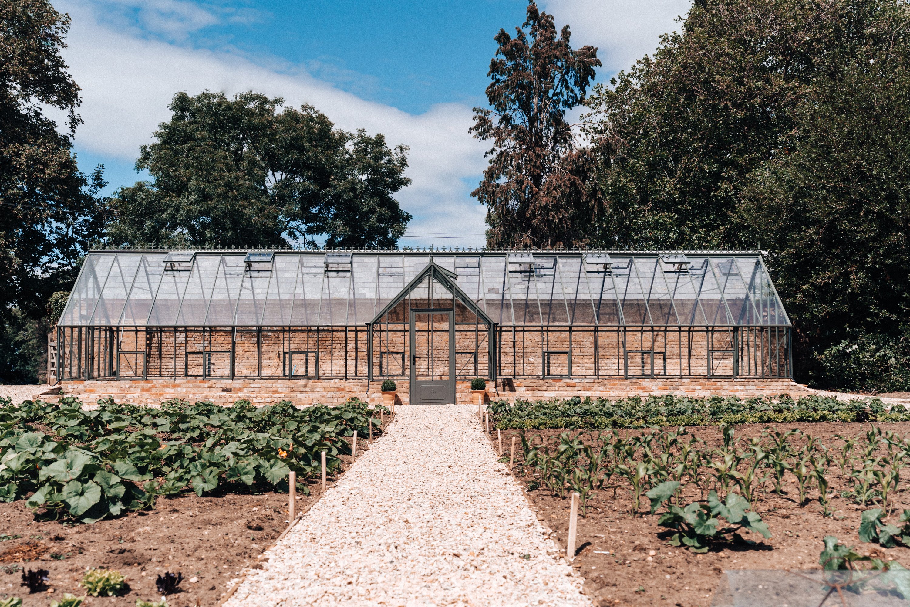 A Greenhouse & Covid wedding planning