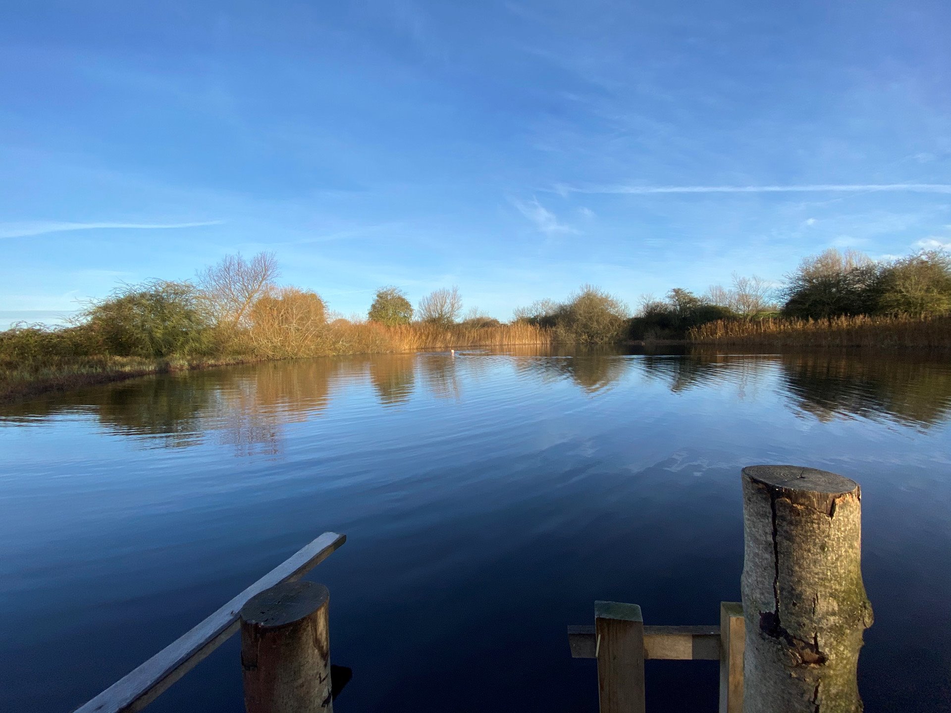 Wild swimming pond is included in the rewilding plans at Elmore Court in the UK