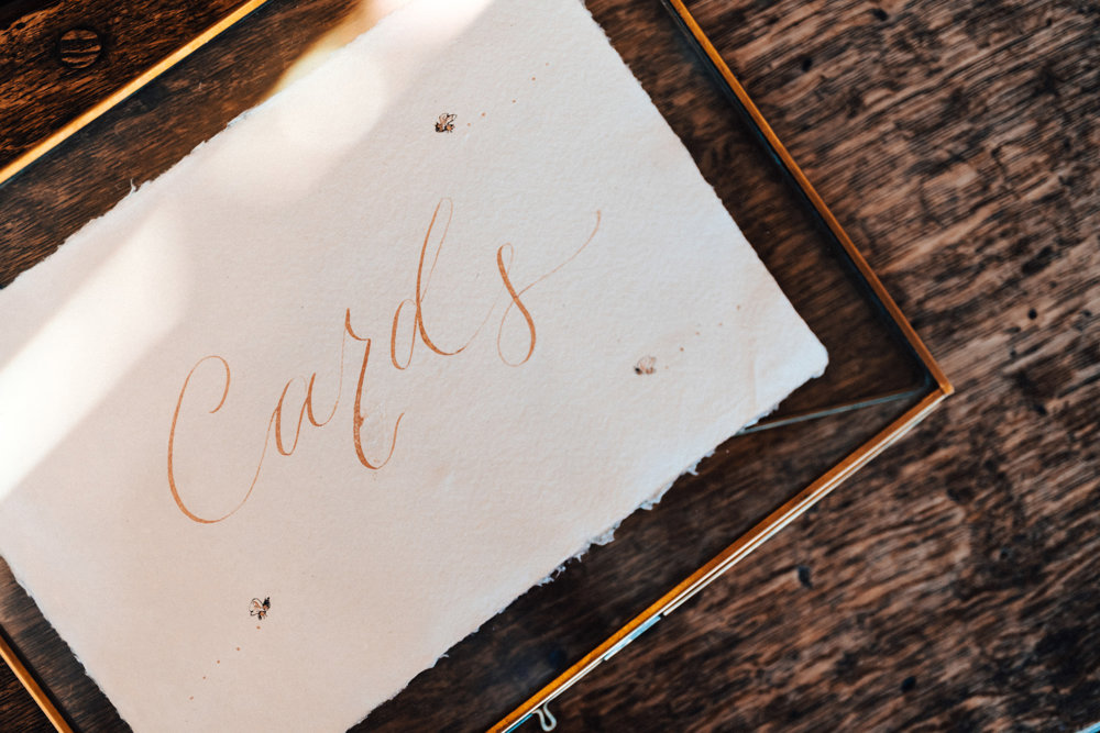 Blush pink Golden Hour inspired September wedding