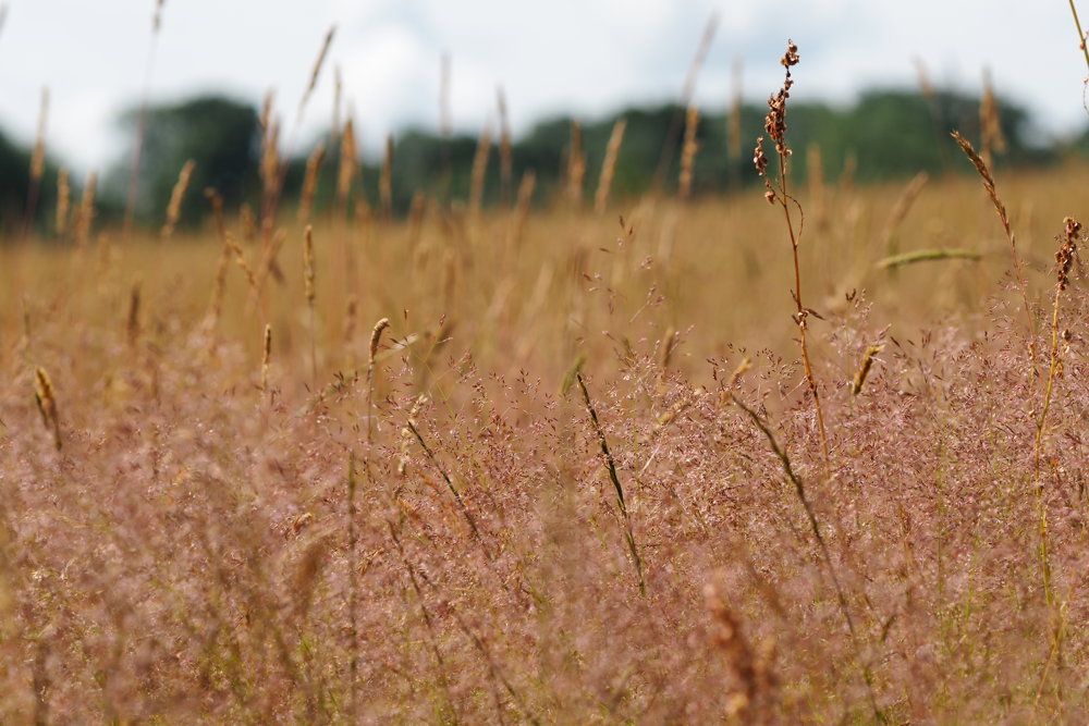 Winter Yoga Retreats are back!