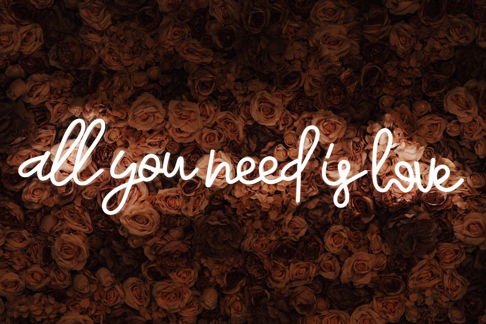 Neon all you need is love sign set against a backing of roses