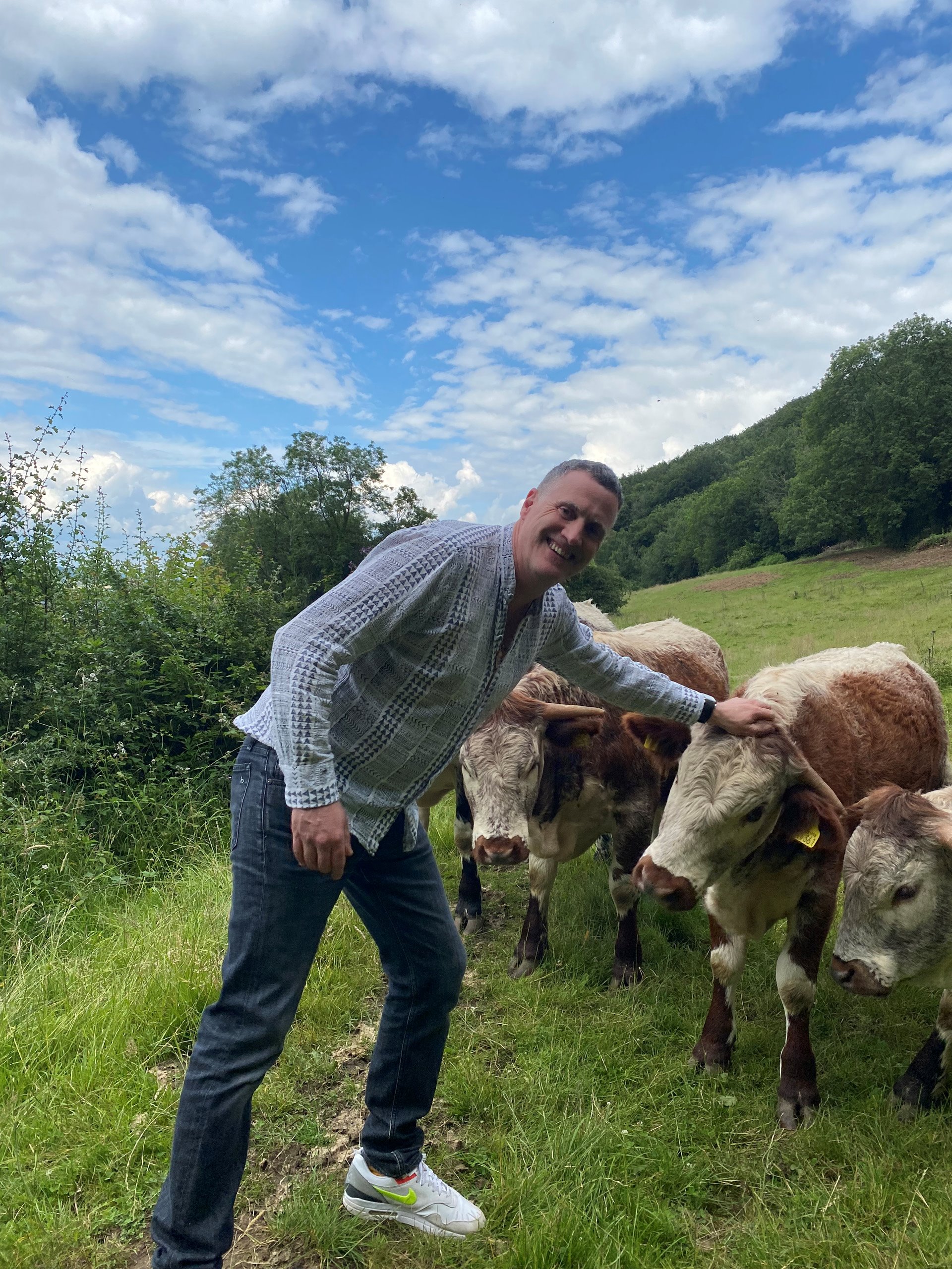Anselm Guise meets longhorn cows to progress rewilding project at Elmore Court