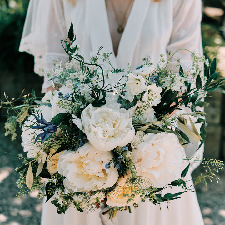 Dot And The Dandelion