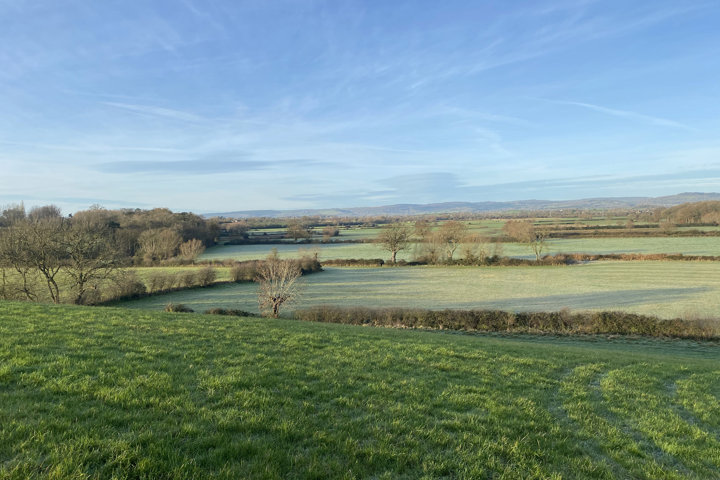 Rewilding project in Gloucestershire has started in 2020 to rewild 250 acres of farm land at Elmore Court
