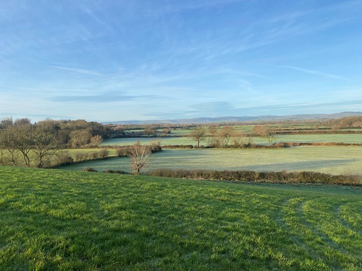 Rewilding project in Gloucestershire has started in 2020 to rewild 250 acres of farm land at Elmore Court