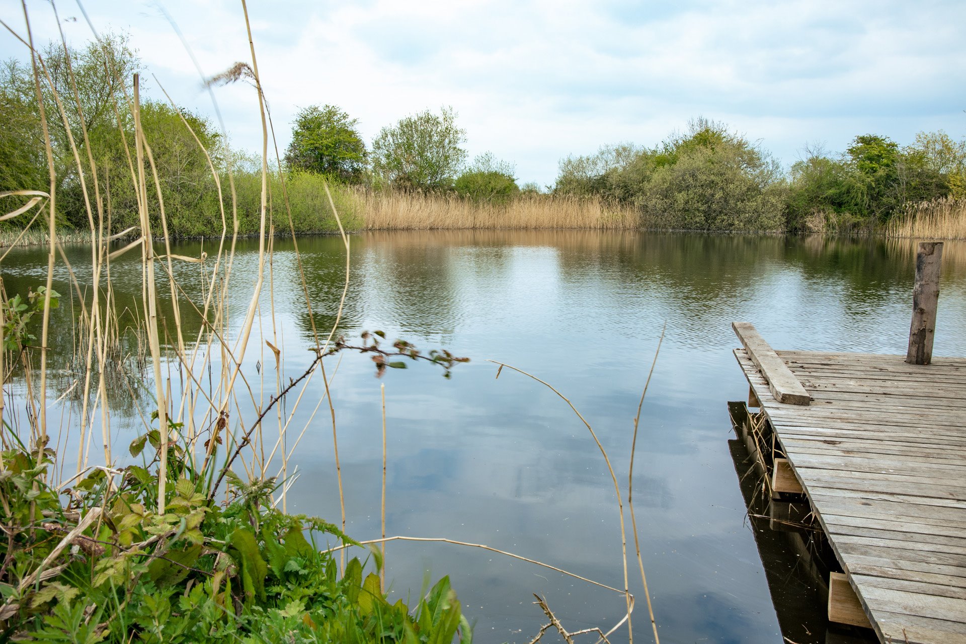 Wild swimming lake at Elmore court in the cotswolds is used as part of their luxury wellness retreats