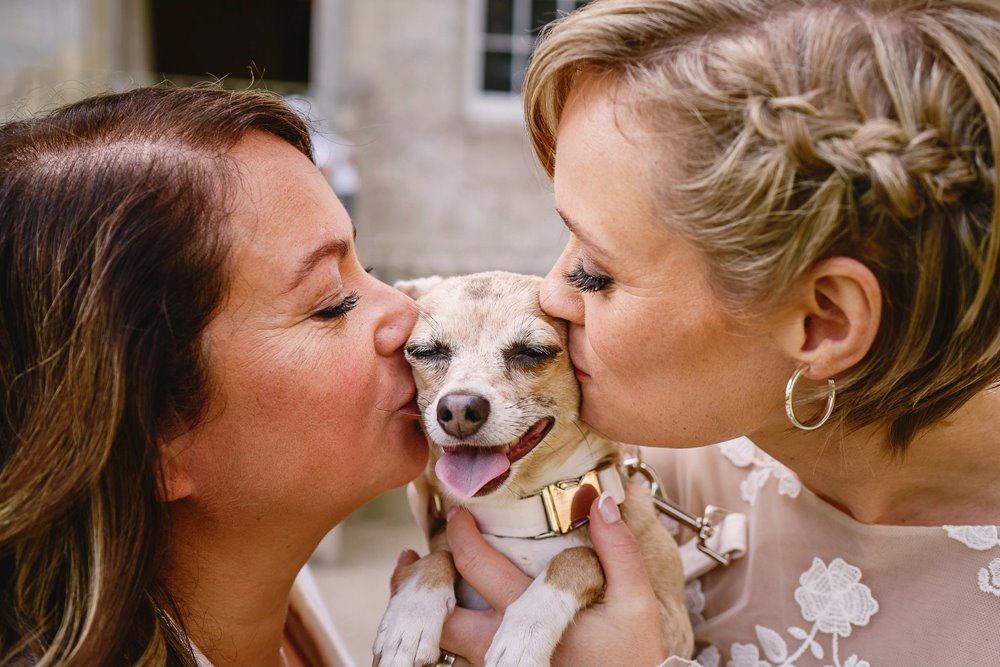two brides and their dog at their joyous wedding ceremony in the cotswolds