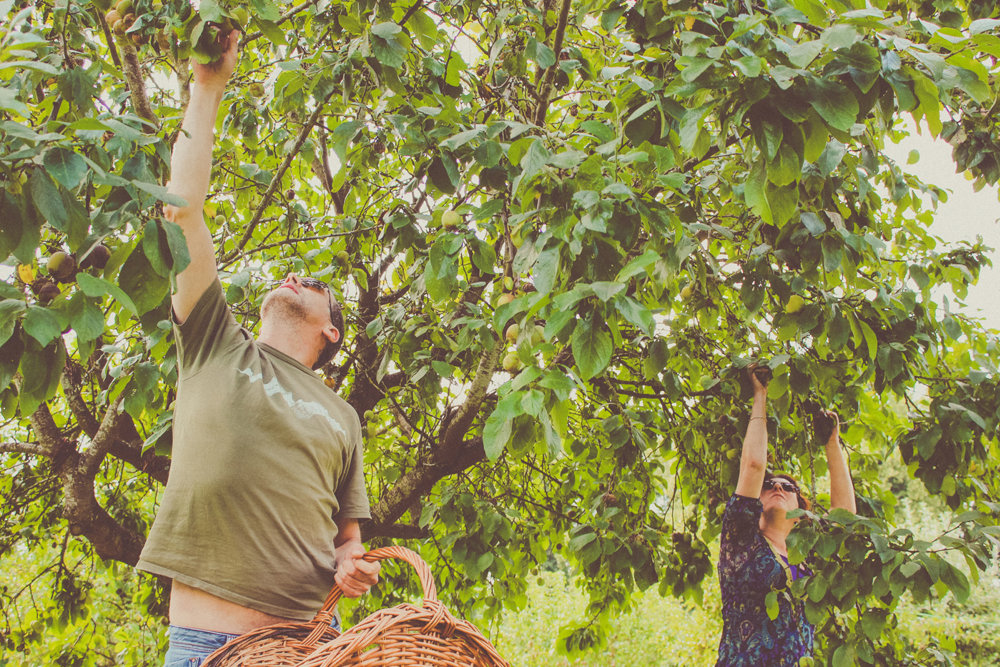 9 Years of weddings at Elmore Court