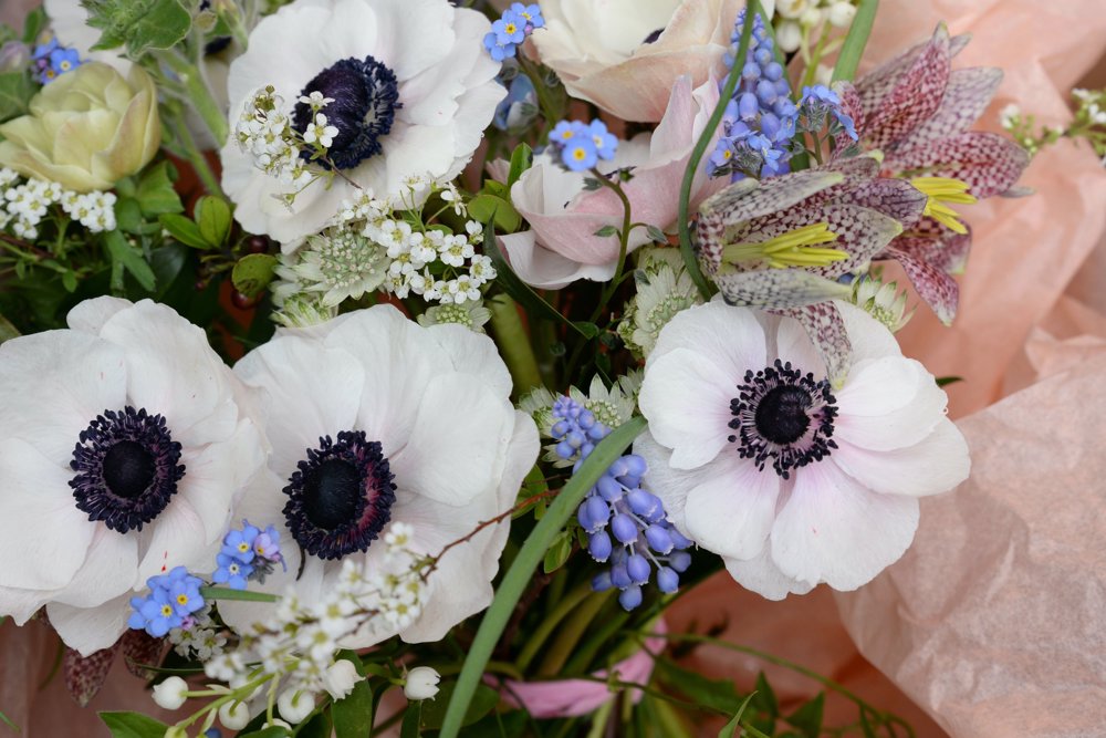 Dot And Dandelion Flowers