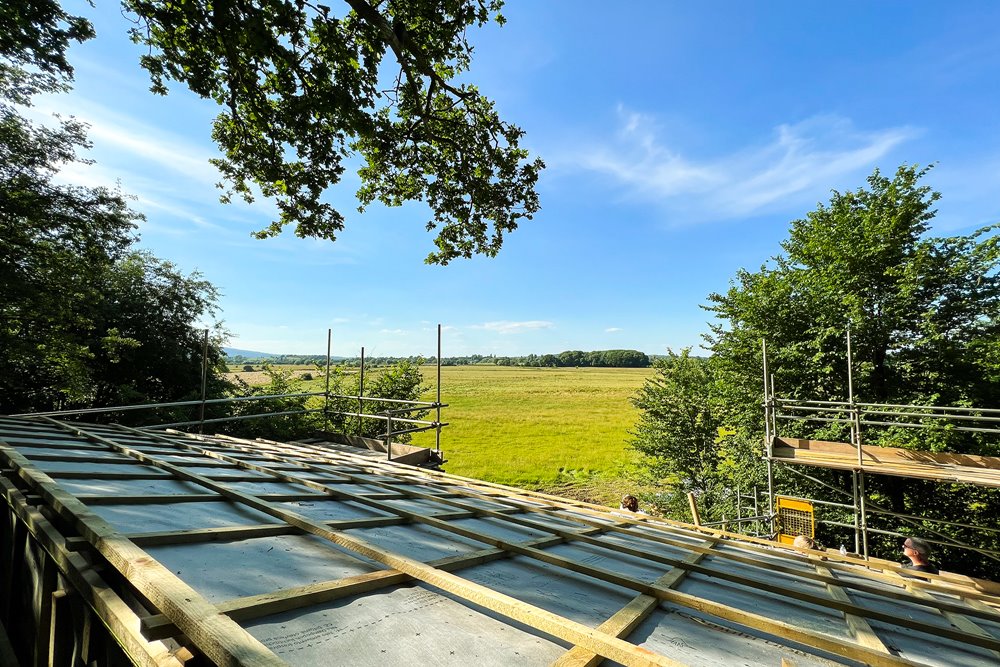 Stunning summer view from a treehouse overlooking a rewilding field; treehouse is in a woodland area and is half way through construction