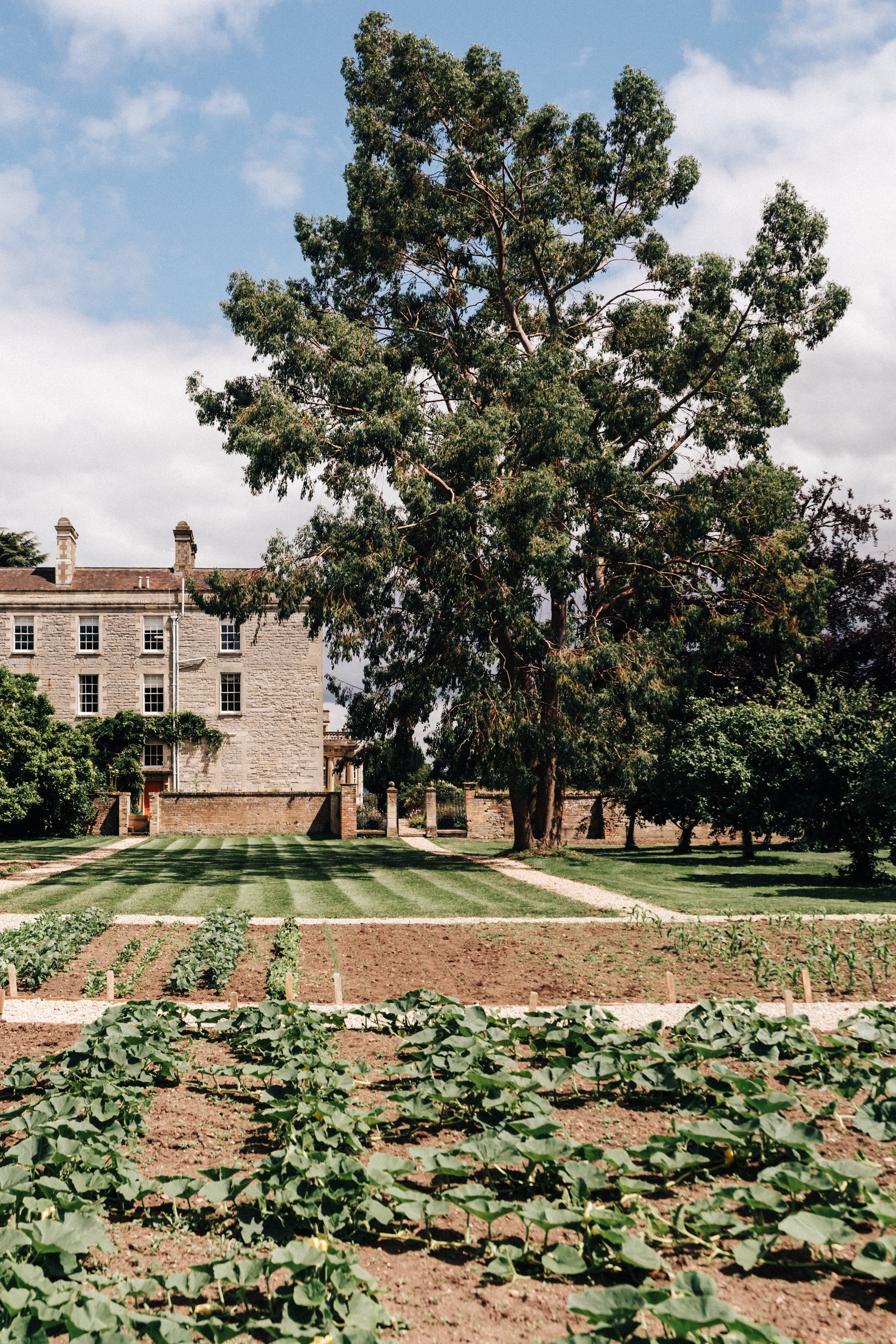 The walled garden at Elmore Court where food for all events is home grown