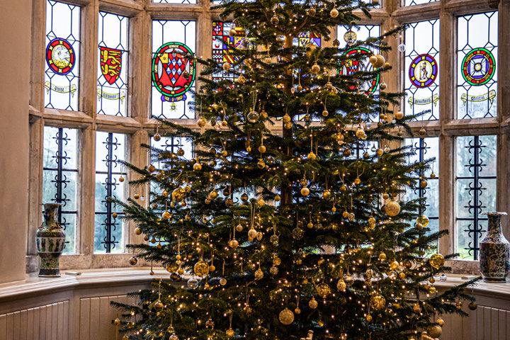 How to Plan the Perfect Winter Wedding at Elmore Court