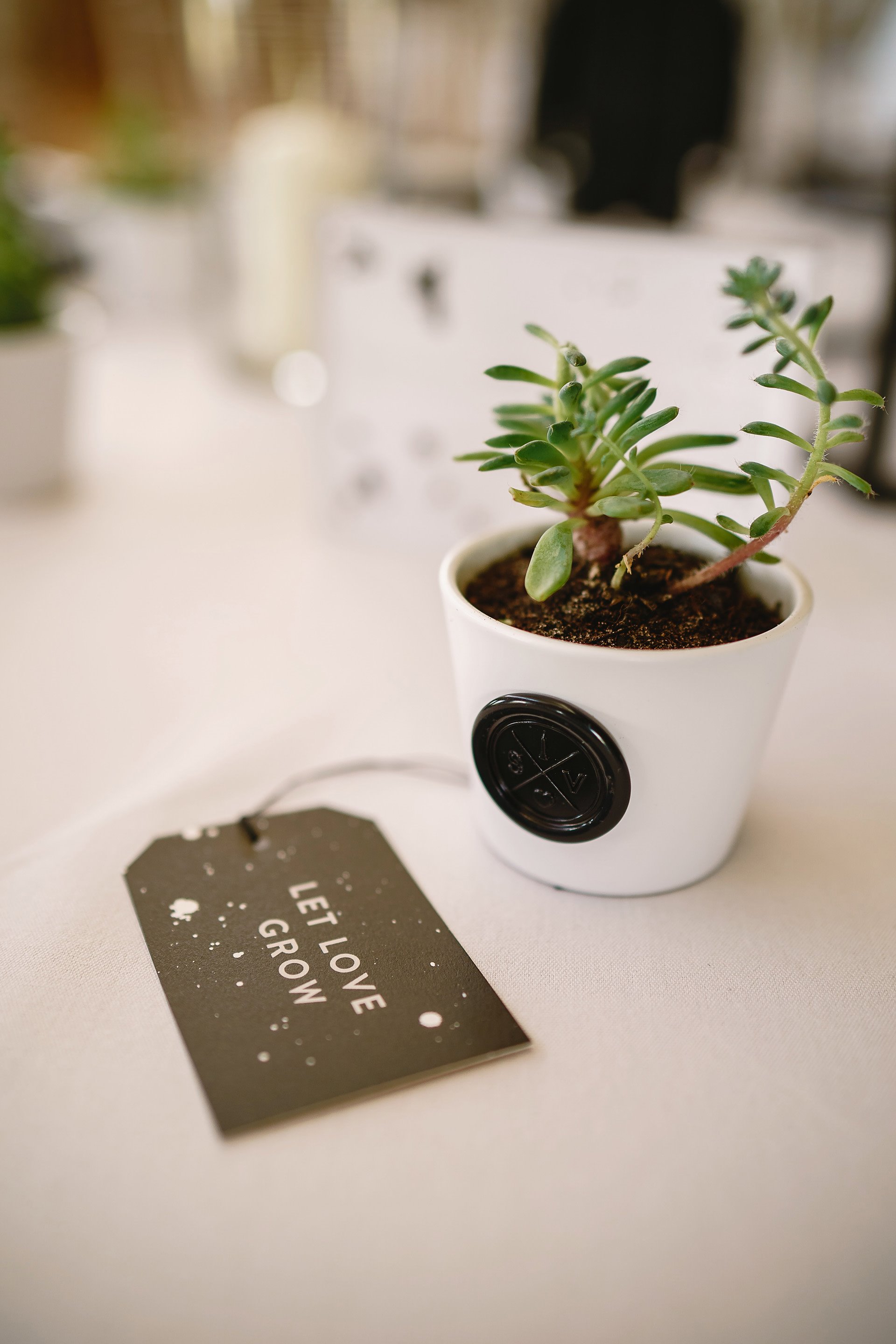 DIY Monochrome details by two brides for their special day