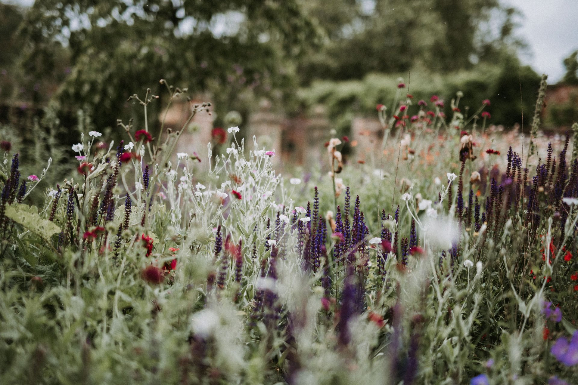 wildflowers in the grounds of wedding venue elmore court