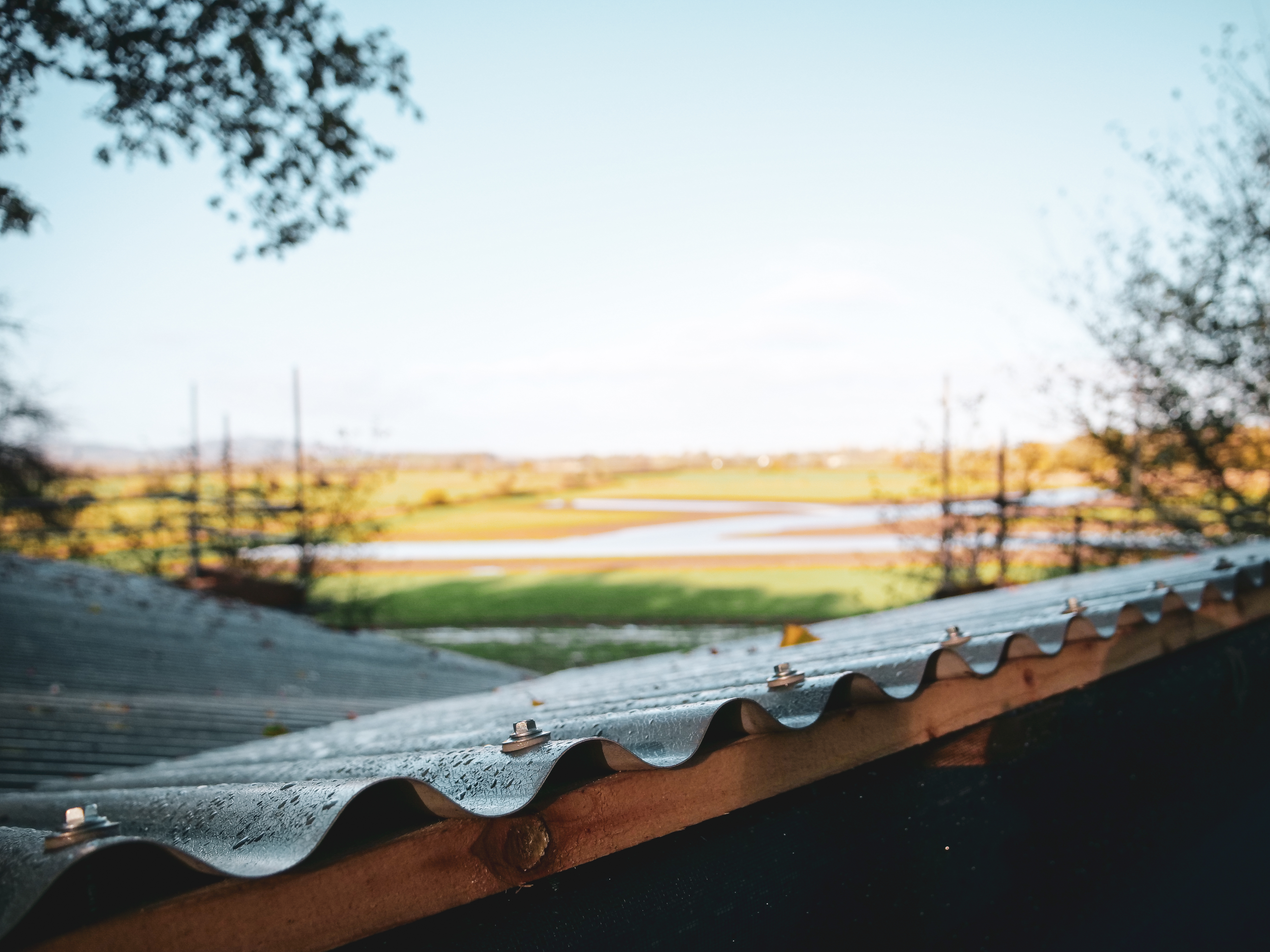 View from the roof of a treehouse, overlooking a wetland area on a sunny autumnal day