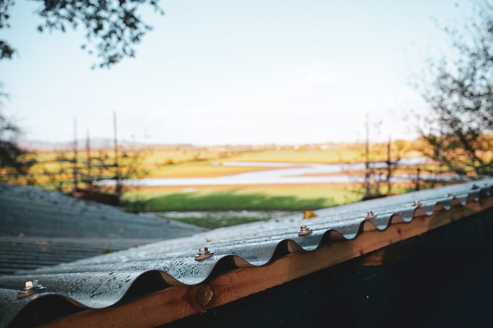 View from the roof of a treehouse, overlooking a wetland area on a sunny autumnal day