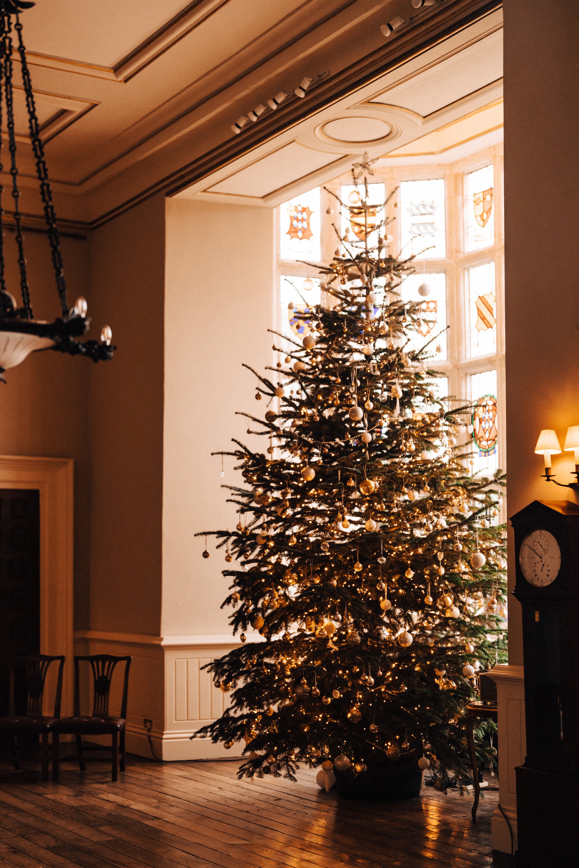 Huge christmas tree in mullion windows of old stately home wedding venue for a winter wedding ceremony