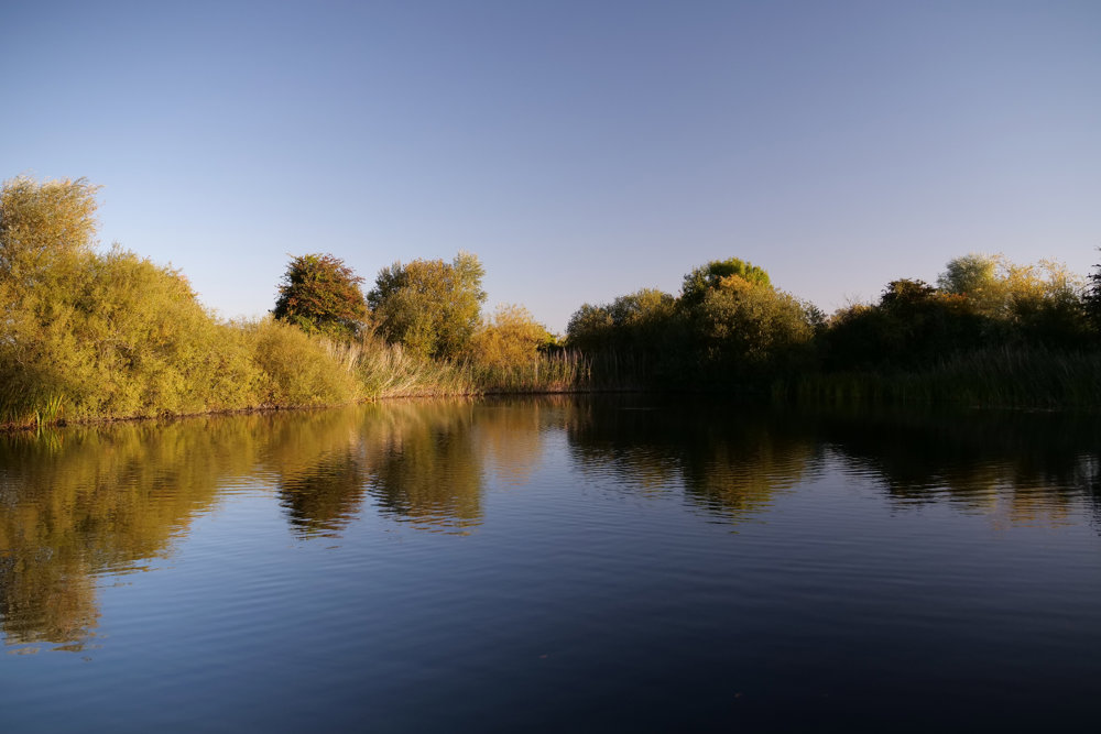 Sustainable Options For Your Big Day