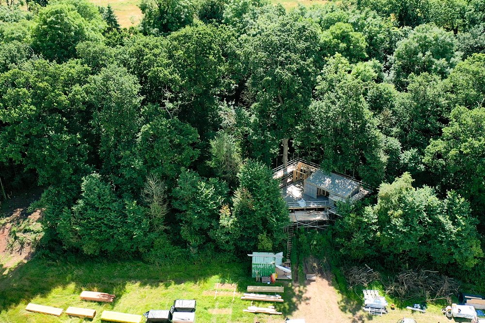 A sunny day next to a lush woodland that has a modern treehouse being built in it