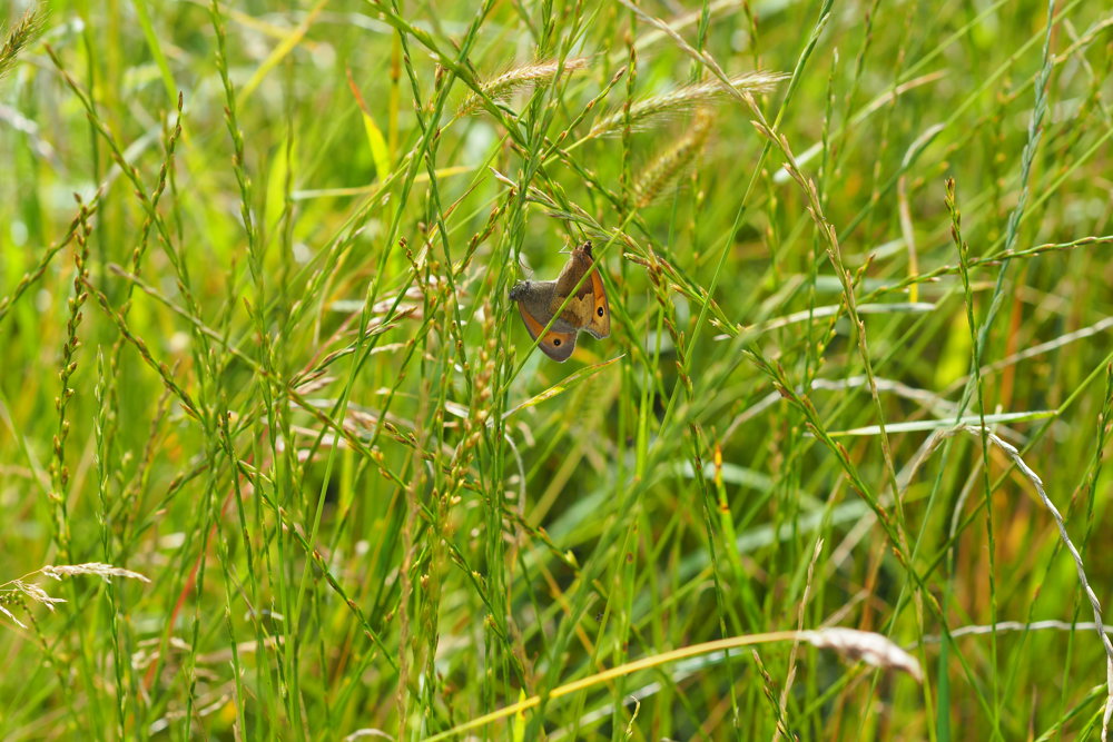 Winter Yoga Retreats are back!