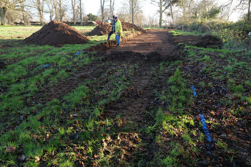 Our treehouse cabins are taking root