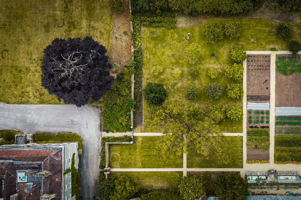 Sustainable Options For Your Big Day