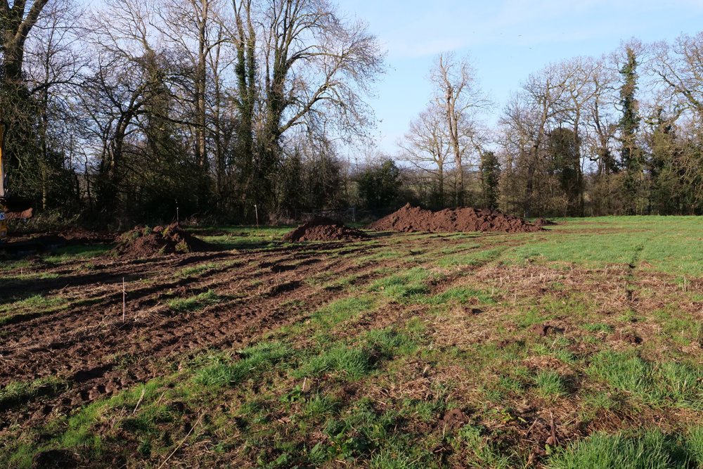 Our treehouse cabins are taking root